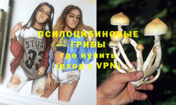 прущая мука Каменногорск
