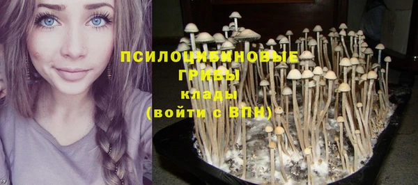 винт Каменск-Шахтинский