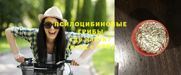 ешки Каменка